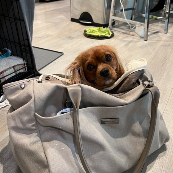 Maxbone city carrier - like new -